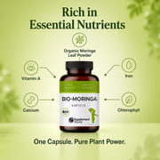 Bio Moringa Capsules – Moringa Leaf Powder for Daily Nutrition Support