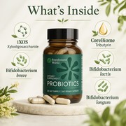 Digestive Health Probiotic with XOS Prebiotic, Tributyrin & Bifidobacterium – 60 Capsules
