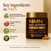 NMN NAD+ Support – 4-in-1 NAD Booster Supplement for Cellular Energy & Cognitive Support