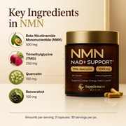 NMN NAD+ Support – 4-in-1 NAD Booster Supplement for Cellular Energy & Cognitive Support