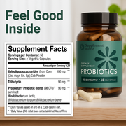 Digestive Health Probiotic with XOS Prebiotic, Tributyrin & Bifidobacterium – 60 Capsules