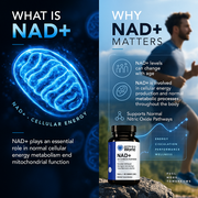 NAD+ Supplement for Men — Liposomal Daily Blend