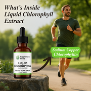 Liquid Chlorophyll Extract Drops – Internal Freshness, Energy & Skin Support