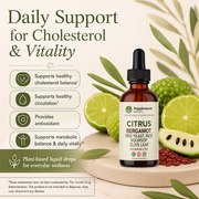 Citrus Bergamot Liquid Drops — Circulation & Antioxidant Support