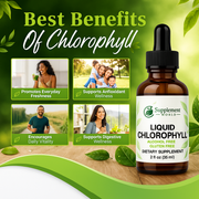 Liquid Chlorophyll Extract Drops – Internal Freshness, Energy & Skin Support