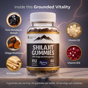 Shilajit Gummies with Chaga & Ashwagandha