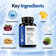 NAD+ Supplement for Men — Liposomal Daily Blend