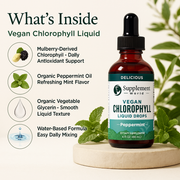 Vegan Chlorophyll Liquid Drops – Chlorophyll Liquid Supplement | Mulberry-Derived for Daily Wellness