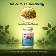 Yerba Mate Capsules