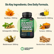 Sea Moss 16-in-1 Capsules – Immune, Energy, Digestion & Daily Vitality Support