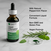 Liquid Chlorophyll Drops for Internal Freshness, Skin Health & Antioxidant Support – Peppermint Flavor