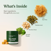 Sea Moss Gummies – Immune, Gut & Energy Support
