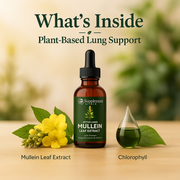 Mullein Liquid Drops with Chlorophyll – Support Clear Breathing, Lung Health & Respiratory Wellness