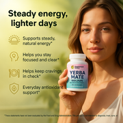 Yerba Mate Capsules