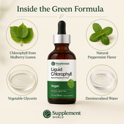 Liquid Chlorophyll Drops for Internal Freshness, Skin Health & Antioxidant Support – Peppermint Flavor