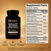 Himalayan All-in-One Capsules - Shilajit, Sea Moss & Ashwagandha