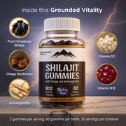 Shilajit Gummies with Chaga & Ashwagandha