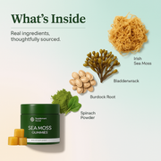 Sea Moss Gummies – Immune, Gut & Energy Support
