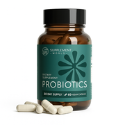 Digestive Health Probiotic with XOS Prebiotic, Tributyrin & Bifidobacterium – 60 Capsules