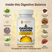 Gut Herbal Formula — Daily Digestive Wellness