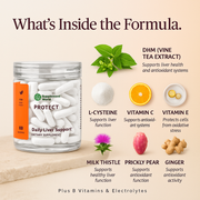 Protect – Daily Liver Support Supplement with Antioxidants, L-Cysteine + DHM & Milk Thistle