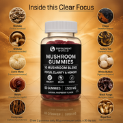 Mushroom Gummies 10-in-1 Blend