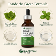 Liquid Chlorophyll Drops for Internal Freshness, Skin Health & Antioxidant Support – Peppermint Flavor
