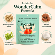 Wonder Calm Mushroom Gummies – Stress, Mood & Focus Support