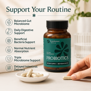Digestive Health Probiotic with XOS Prebiotic, Tributyrin & Bifidobacterium – 60 Capsules