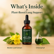 Mullein Liquid Drops with Chlorophyll – Support Clear Breathing, Lung Health & Respiratory Wellness