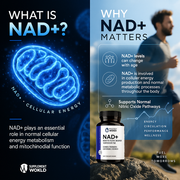 NAD+ Supplement for Men — Liposomal Daily Blend