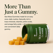 Sea Moss Gummies – Immune, Gut & Energy Support