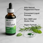 Liquid Chlorophyll Drops for Internal Freshness, Skin Health & Antioxidant Support – Peppermint Flavor