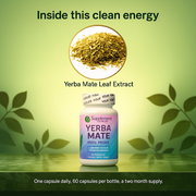 Yerba Mate Capsules