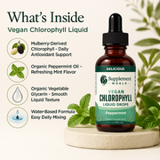 Vegan Chlorophyll Liquid Drops – Chlorophyll Liquid Supplement | Mulberry-Derived for Daily Wellness