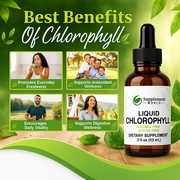 Liquid Chlorophyll Extract Drops – Internal Freshness, Energy & Skin Support