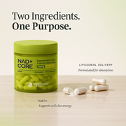 NAD+ Core – Liposomal NAD Supplement for Cellular Energy Support