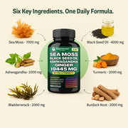 Sea Moss 16-in-1 Capsules – Immune, Energy, Digestion & Daily Vitality Support