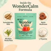 Wonder Calm Mushroom Gummies – Stress, Mood & Focus Support